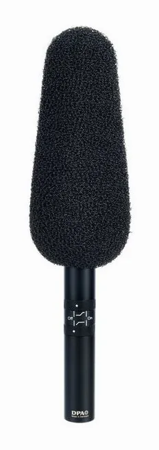 DPA 4017B, widok 2