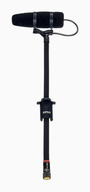 DPA 4099-DP-1, widok 2