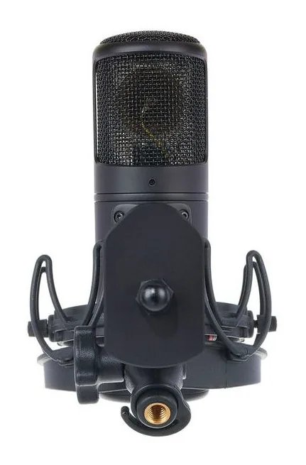 Golden Age Audio Premier GA-8000, widok 2