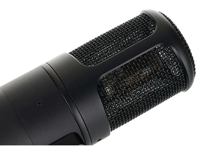 Golden Age Audio Premier GA-8000, widok 4